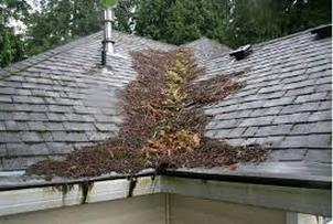  Lots of Debris on Roof Central VA Roofing Central Virginia Contractor